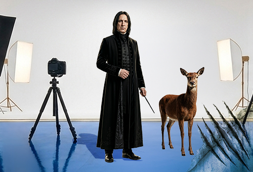 snape